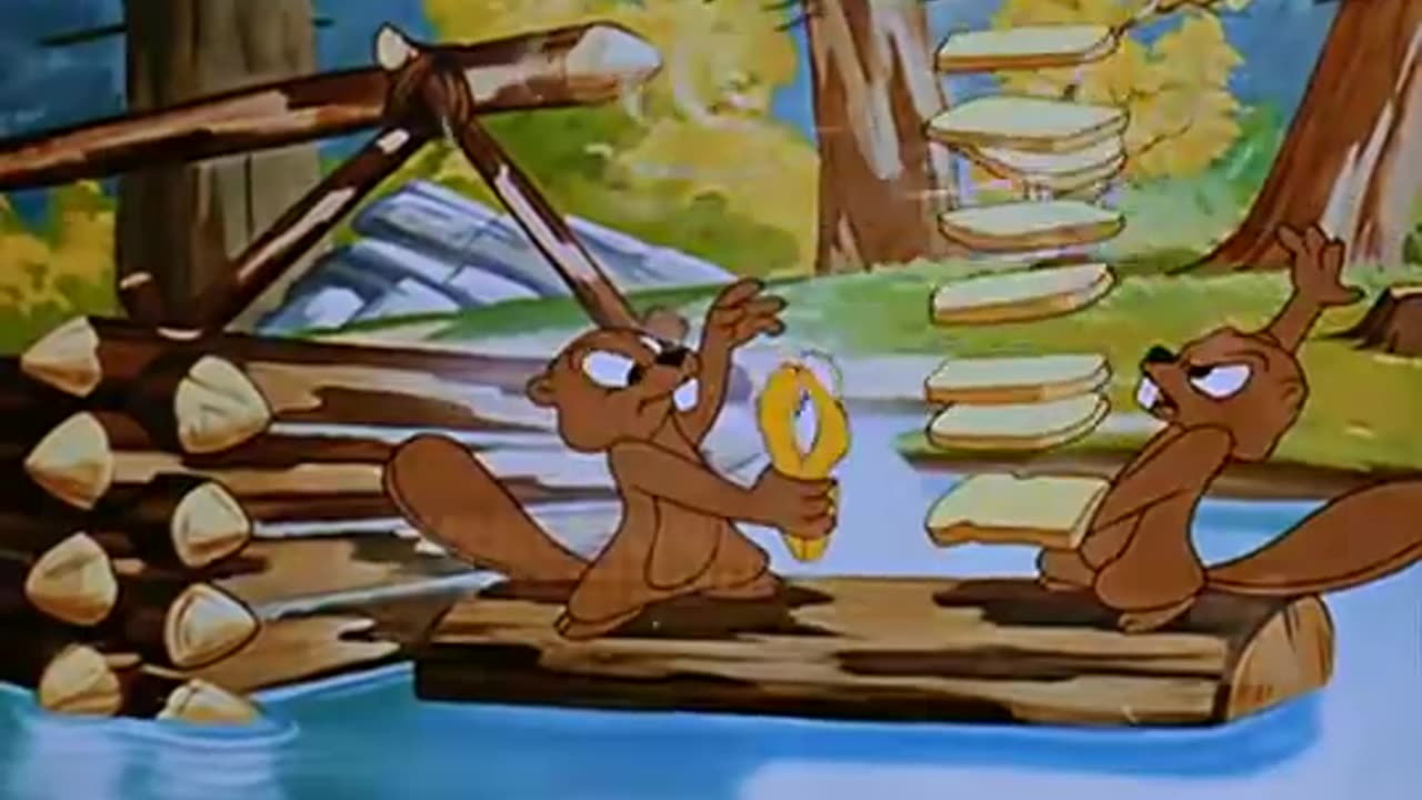 Pica-pau - Os Trabalhadores da Floresta