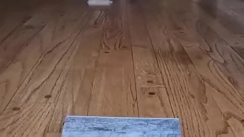 Top 10 iPhone Charging Trick Shots
