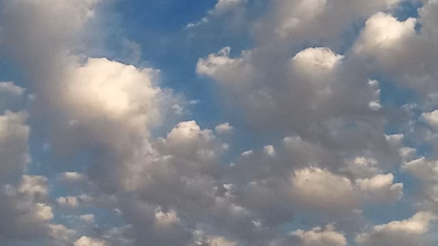 Palms and clouds