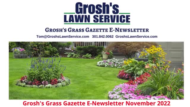 Grosh's Grass Gazette November 2022 Video E Newsletter