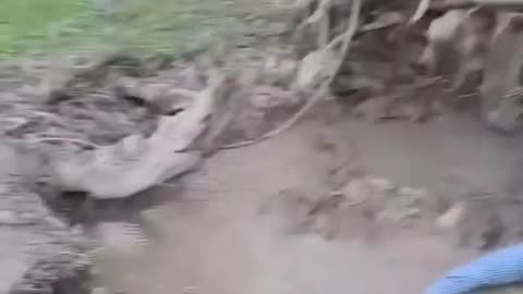 Funny mud fails pt2 #shorts #fails #shortsfeed