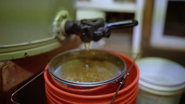 Пасека #122 Apiary #122 Why I shake Honey like that, Telling, Showing, May Honey_ Beekeeping for beg