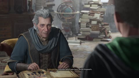 Hogwarts Legacy Reporting my findings to Fig