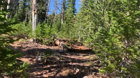 Eastern Oregon – Strawberry Lake + Wilderness – Explanation of Safety First Strategy – 4K