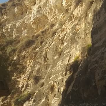 Please support. Watch a video of nature I am a beginner in photography and I need support