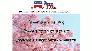 Politricks As Usual Haiku - The January 6th Committee Final Public Hearing Special Edition