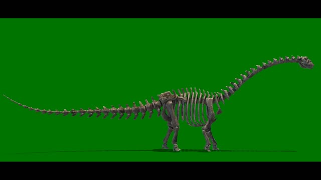 skeleton keying frame dinosaur walking composite