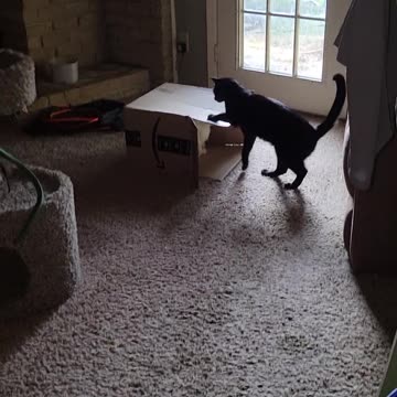 Hank wants to play but Doc doesn't