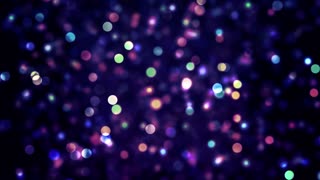 Free Particle Loop