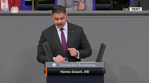 Hannes Gnauck Rede vom 01.12.2022 - EU-Umwandlungsrichtlinie Arbeitnehmermitbestimmung