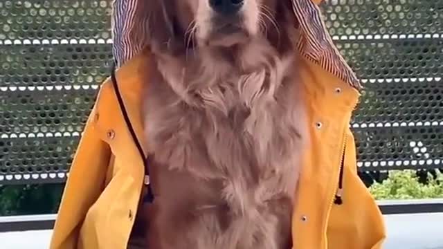 ☀️