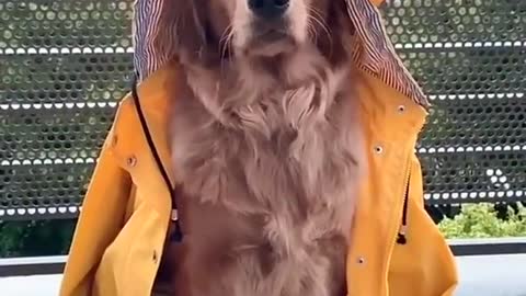 ☀️