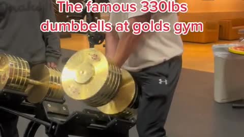 The famous 330lbs dumbbells at golds gym