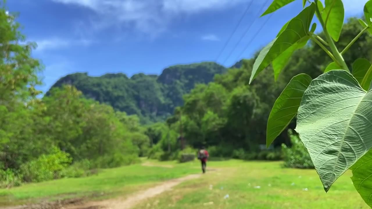 SOLO CAMPING • CAMPING IN HEAVY RAIN • RELAXING AND SLEEPING WITH RAIN SOUNDS