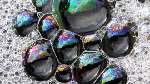 Why Didn't Anybody Tell Me? [ MIRROR ]