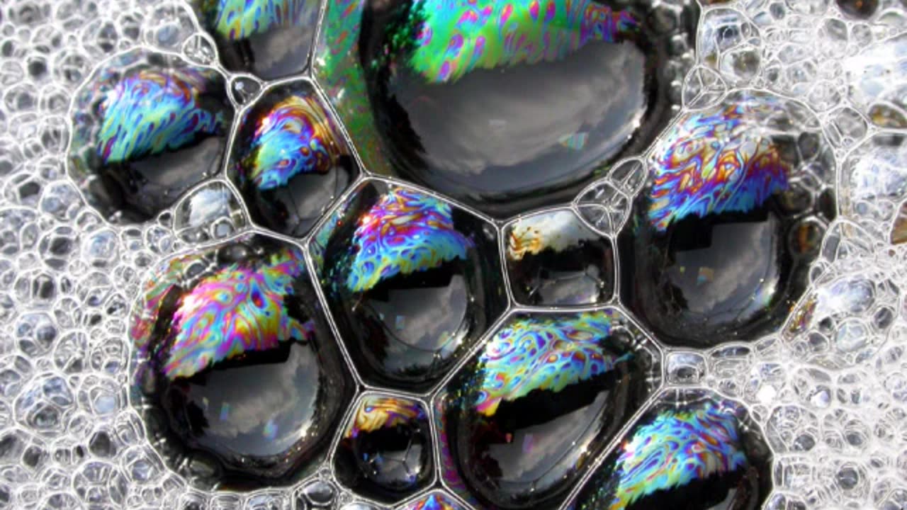 Why Didn't Anybody Tell Me? [ MIRROR ]