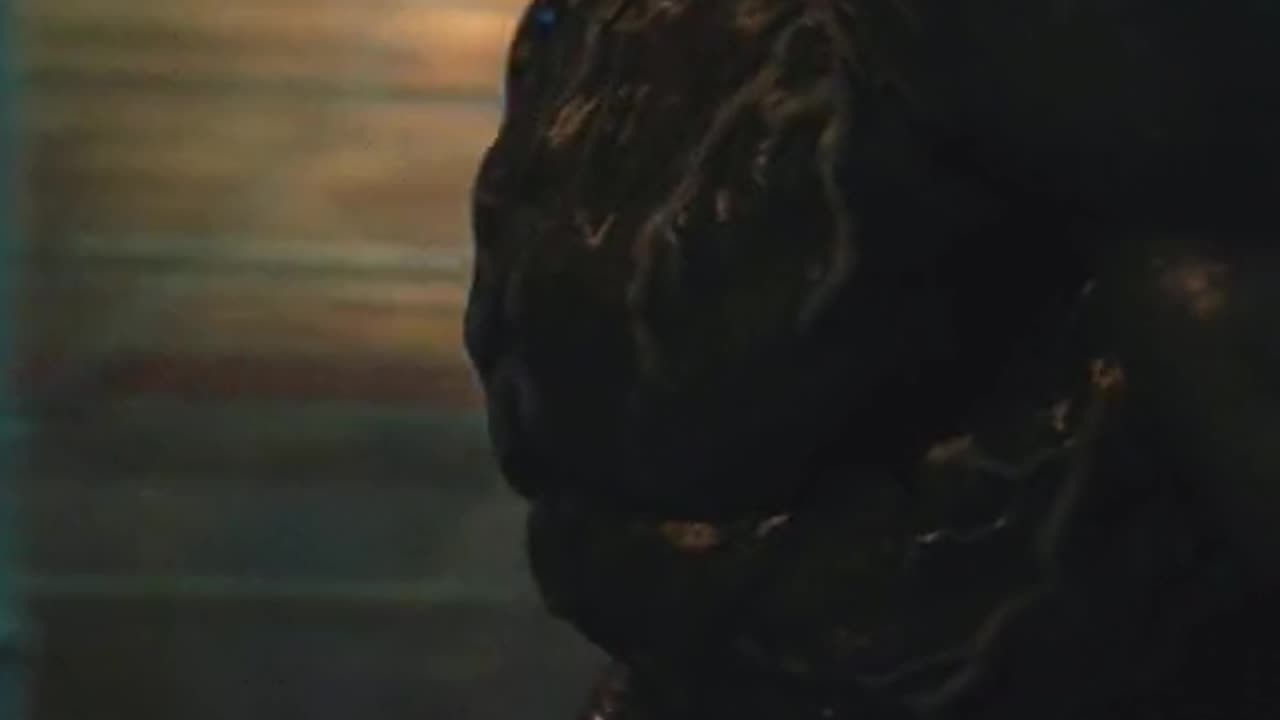 Venom is best alien
