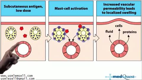 Immunological - MedQuest