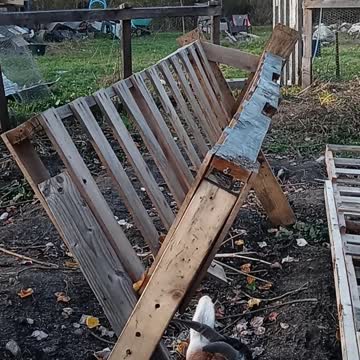 Flock it Farm: DIY hay feeder made from free pallets