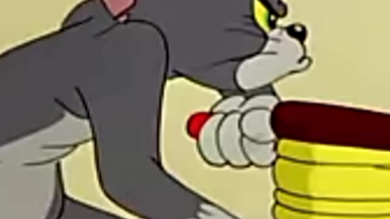 Tom and Jerry cartoon new episode