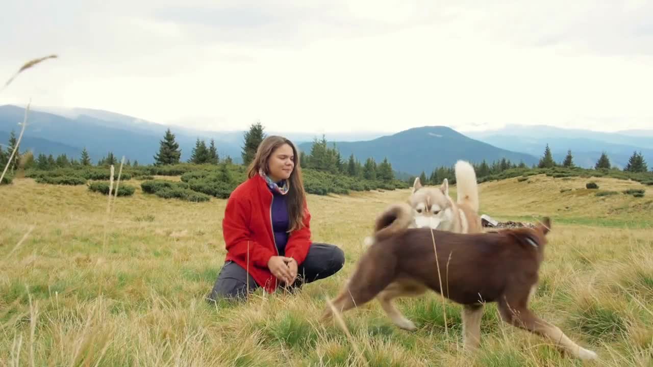 Young female playing with dogs in mountains