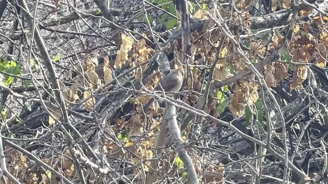 Beautiful day at James Gardens Toronto