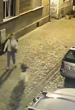 If your Dog runs ,, then RUN