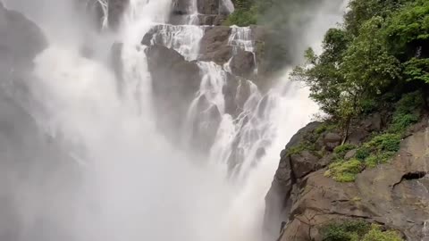 Alert Presenting you the One of the most liked and viewed video in Tamilnadu Thank you
