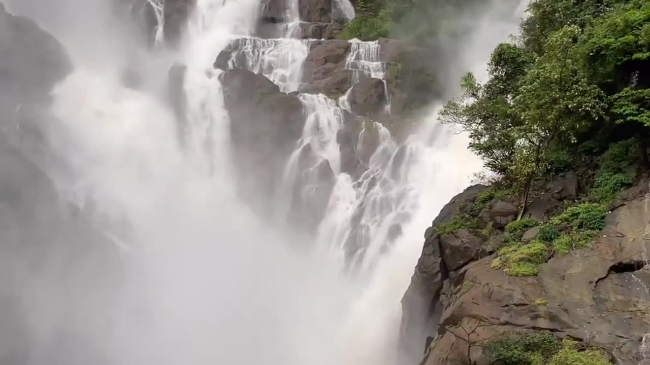 Alert Presenting you the One of the most liked and viewed video in Tamilnadu Thank you