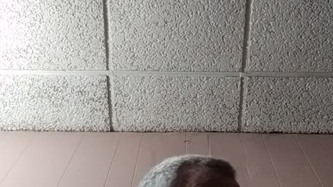 Happy Friday to you all and May God bless...2.4.2022