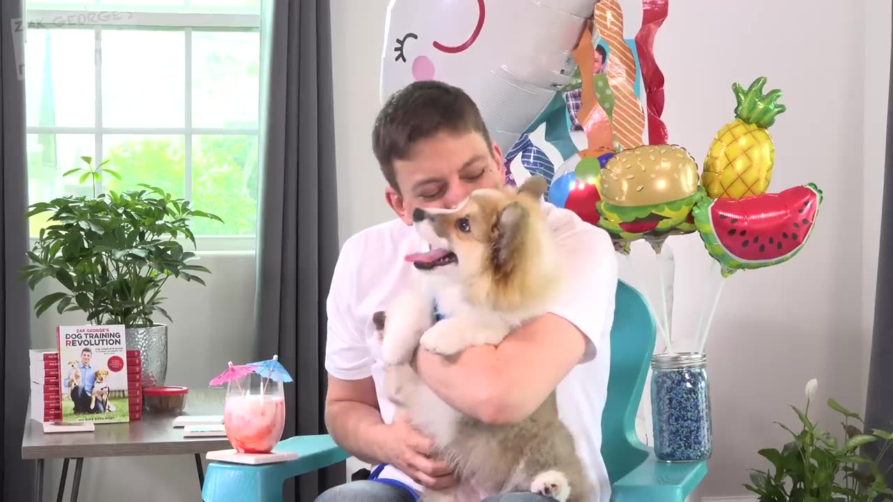 How to Teach your Puppy to INSTANTLY Sit Still and Pay Attention