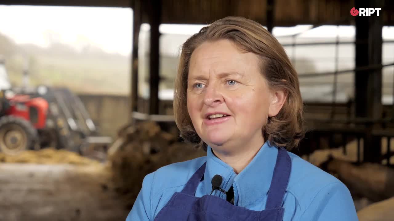 SMEs : The People Powering Ireland. How Local business is or is not surviving in a time of Covid