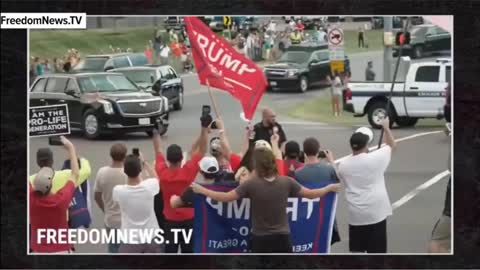 Bongino - Trump vs Biden Popularity