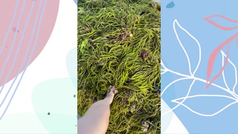 ADDING TOO MUCH INGREDIENTS into SLIME