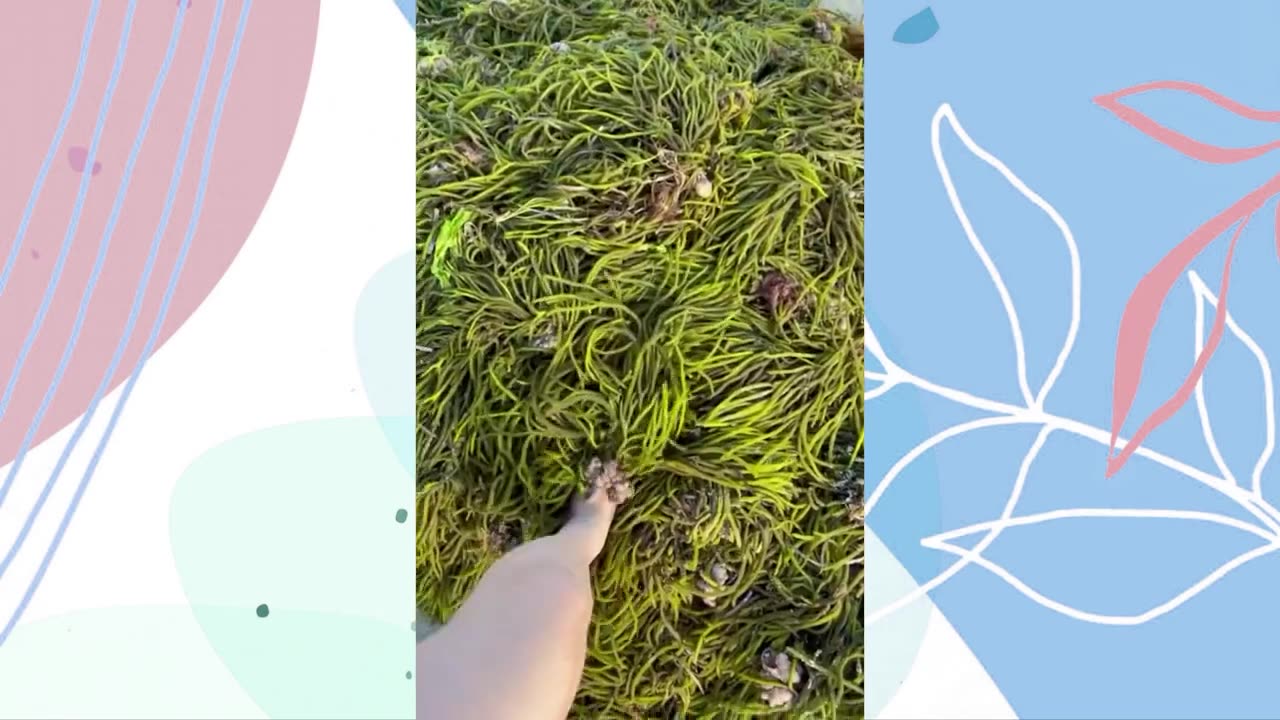 ADDING TOO MUCH INGREDIENTS into SLIME