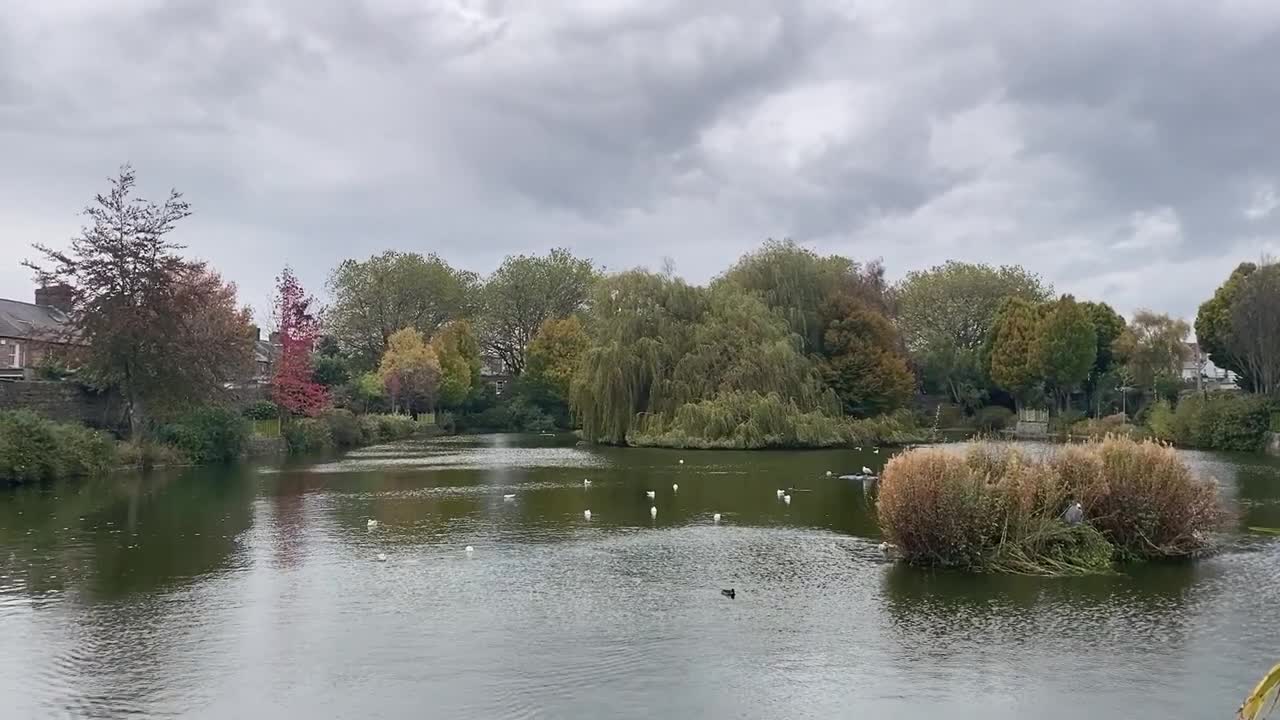 Dublin Blessington Street Park 8