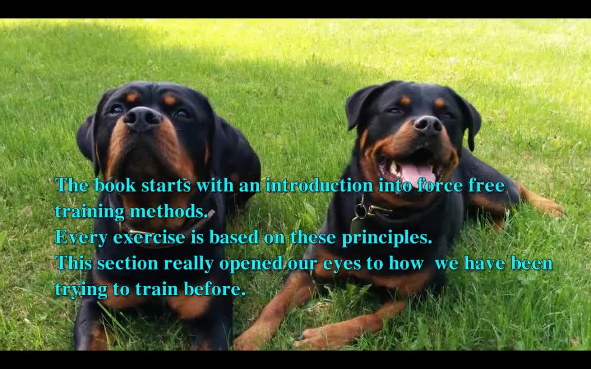 Brain training for dogs review:develop your dog's hidden intelligence to eliminate bad behavior