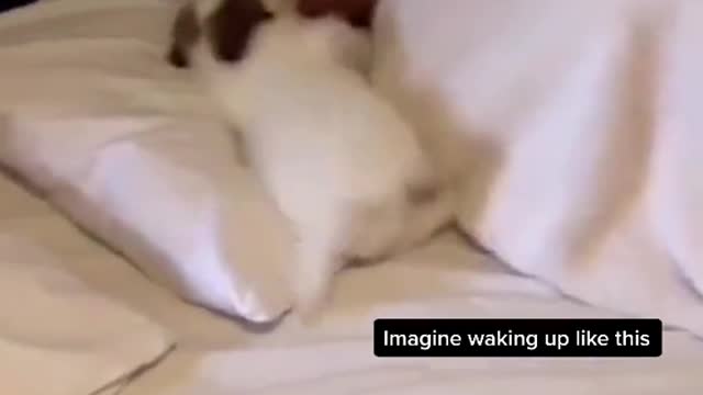 Just imagine… 😍