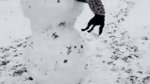 Silly Dog