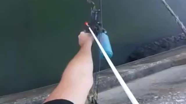 Head shot Bowfishing
