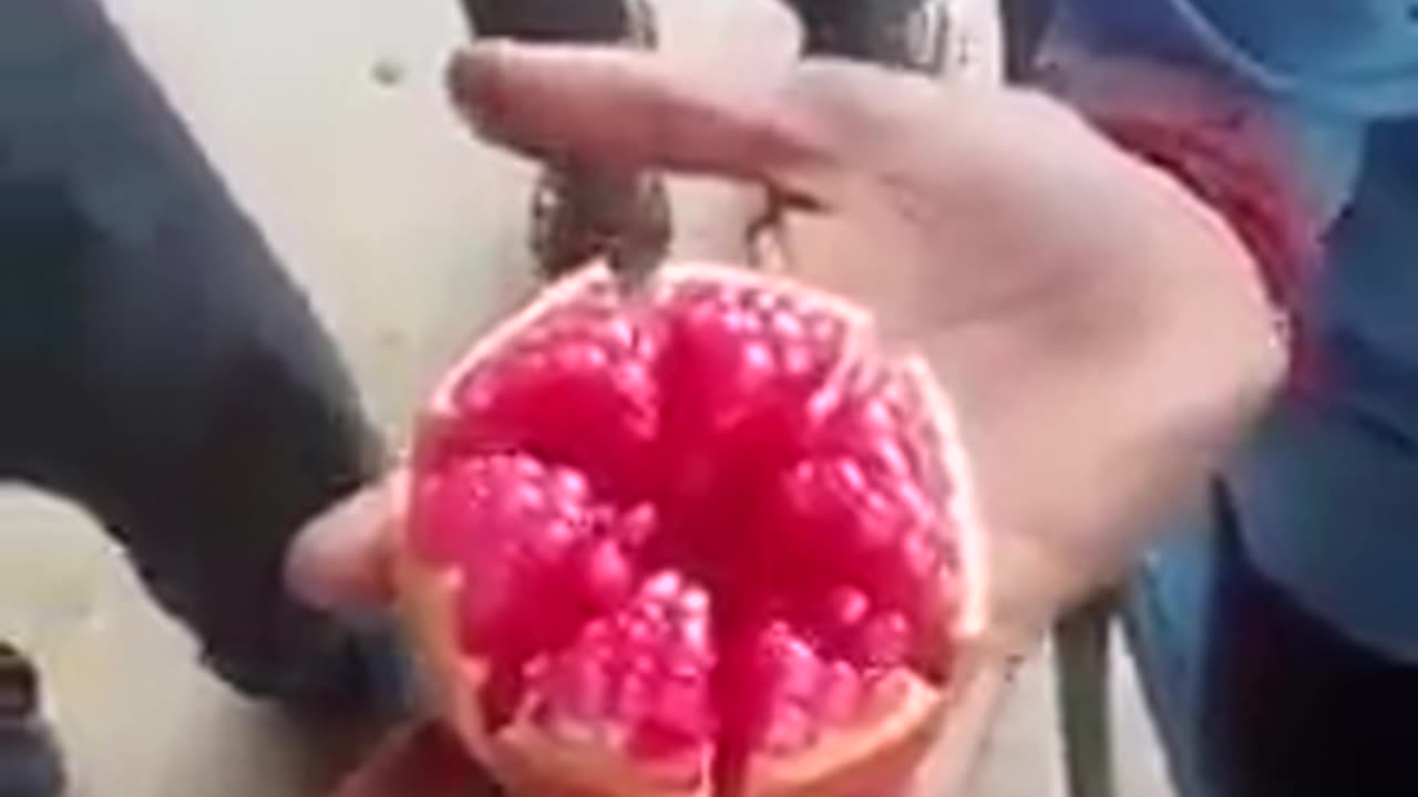 Pomegranate