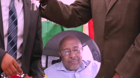 Eritrean Mendelay Tadi