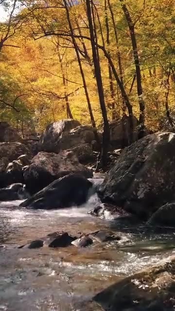 Nature video #Nature #shorts #vairal #balance of nature