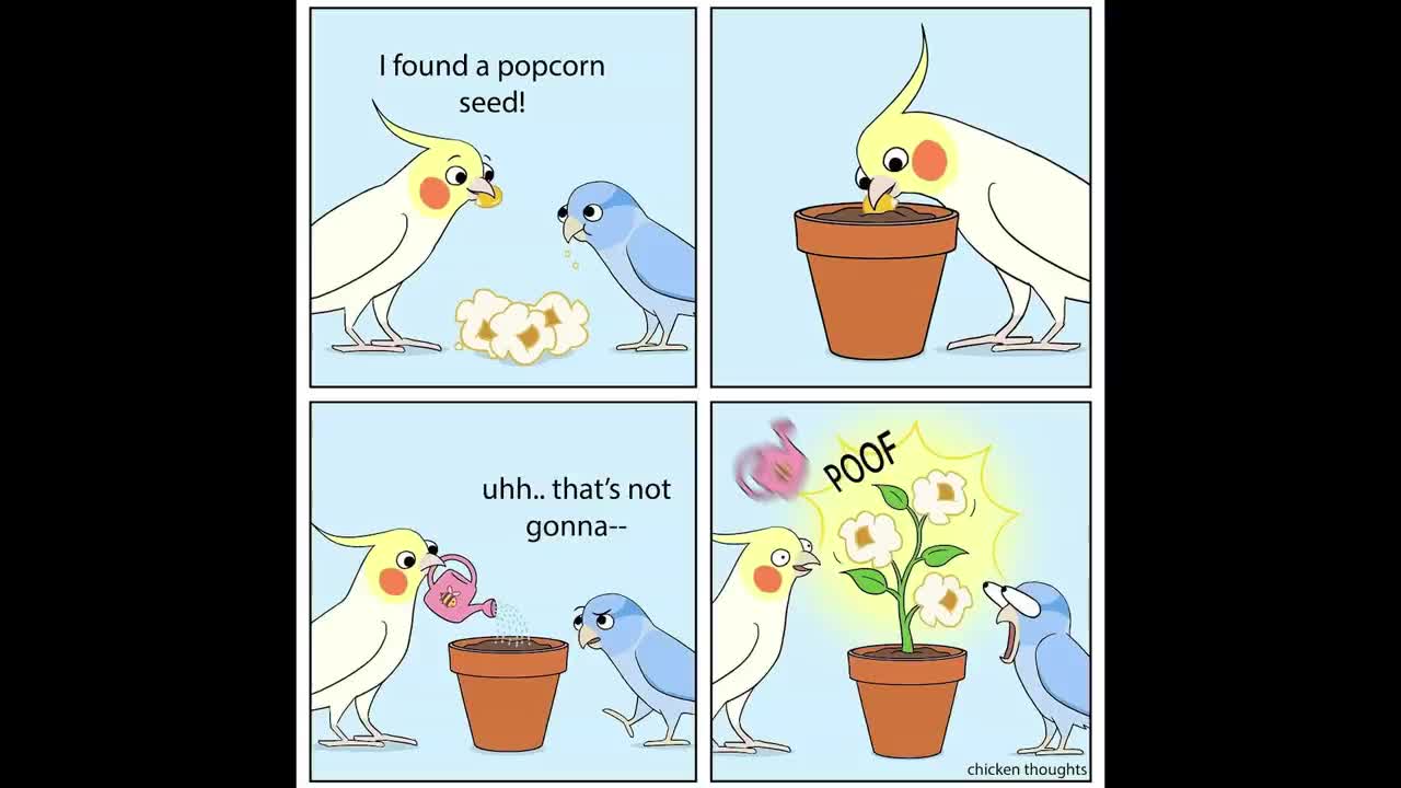 Funny Comics With A Parrot Twist