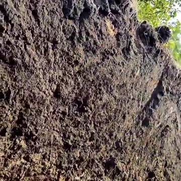 Soldier in combat in Ukraine, video that portrays the drama of war.