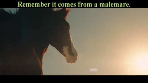 This Mares for you