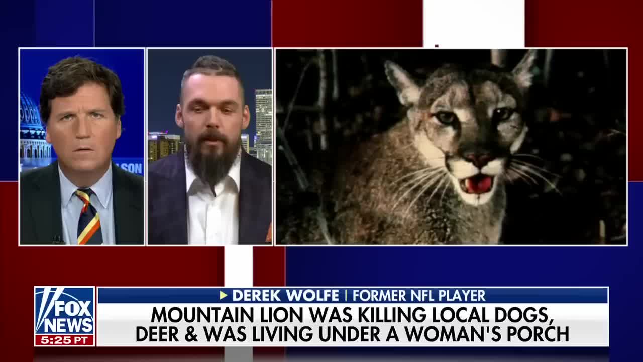 Ex-NFL player takes down mountain lion with bow and arrow