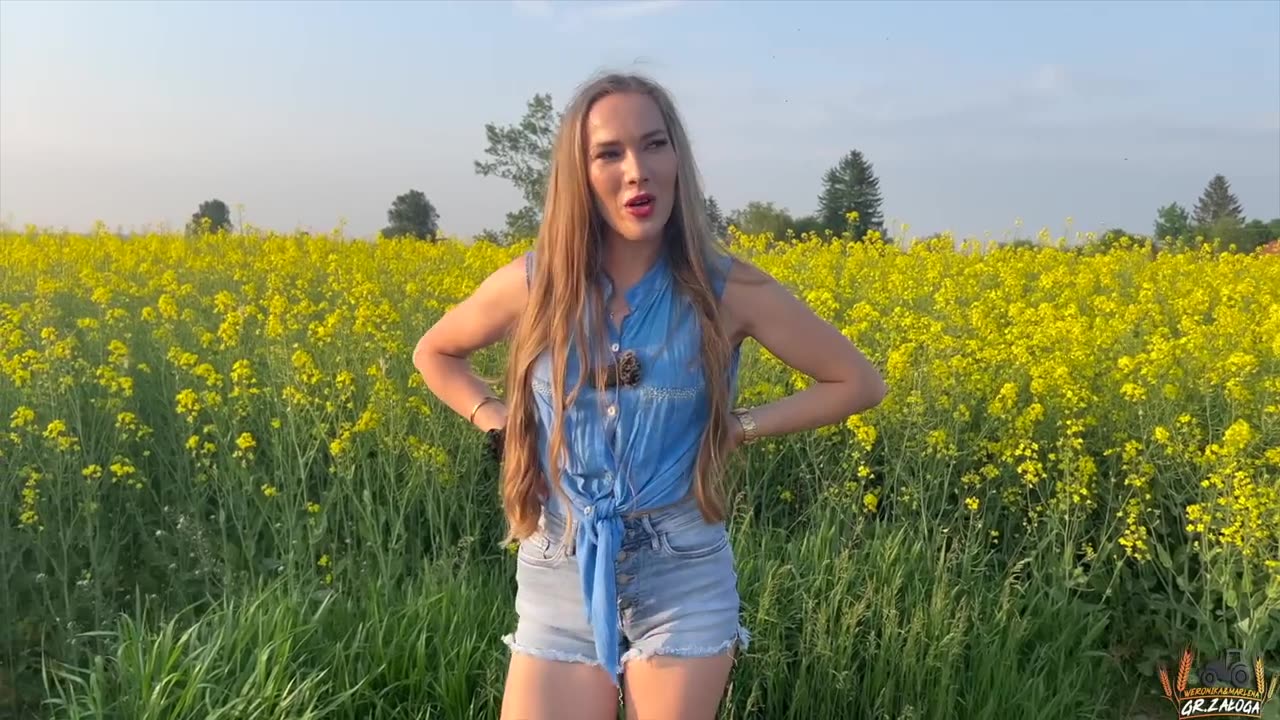 Jak naprawdę jest z tym rzepakiem. Obalamy mity!