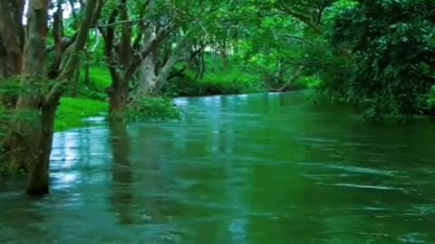Water river amazing