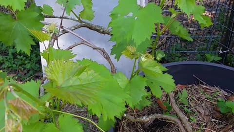 Don't Leave The Vasoline Out In The Sun